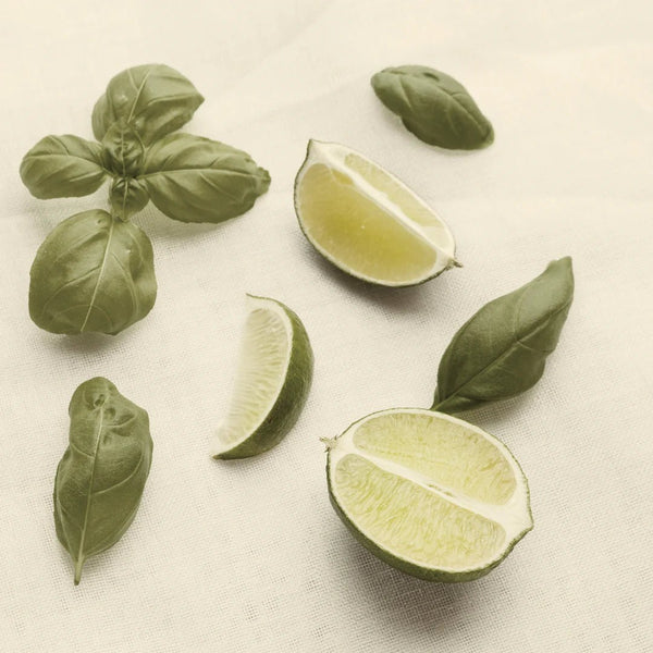 KUNDAL Honey & Macadamia Shampoo 500ml - Basil & Citrus - beautybuddy.nl