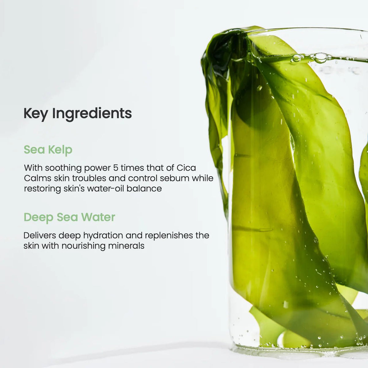 BIODANCE Refreshing Sea Kelp Real Deep Mask (1pc) - beautybuddy.nl