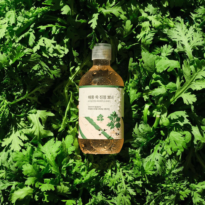 ROUND LAB Mugwort Calming Toner - beautybuddy.nl