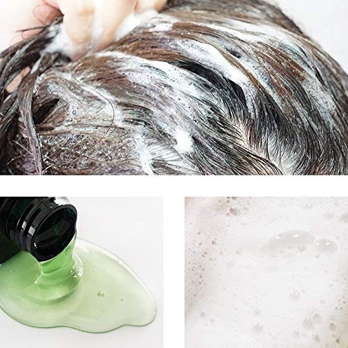 LADOR Herbalism Shampoo 150ml - beautybuddy.nl
